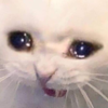 :ezgif211b7eaae6f8e: