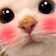 :catFlushed: