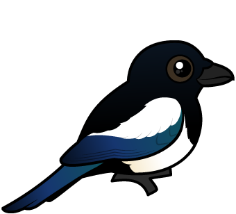 :magpie: