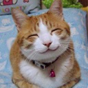 :So_happy_smiling_cat: