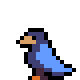 :celeste_squawk: