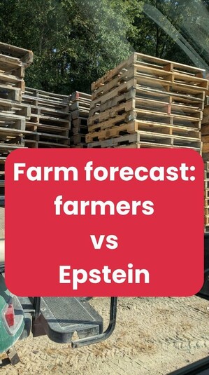 Thumbnail for video (vertical format). Background is stacks of empty pallets in a farm storage yard. Caption is "Farm forecast: farmers vs Epstein" on a red rectangular background in white print.